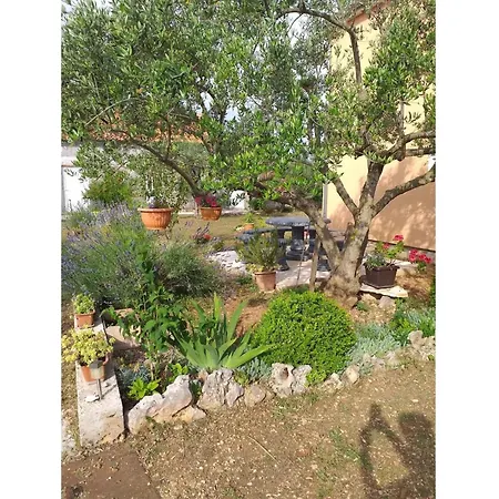 Apartman In Bristani - Sibenik Riviera 48514 Bristane